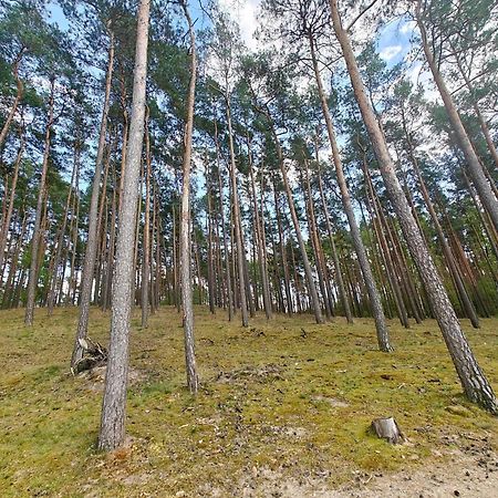 Lesna Ostoja W Centrum Puszczy Nadnoteckiej Otoczona 3 Jeziorami Miedzychod Eksteriør billede